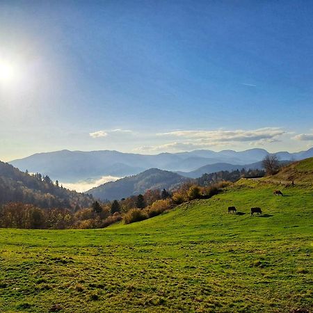 Chalet Notre Retraite Ventron Zewnętrze zdjęcie