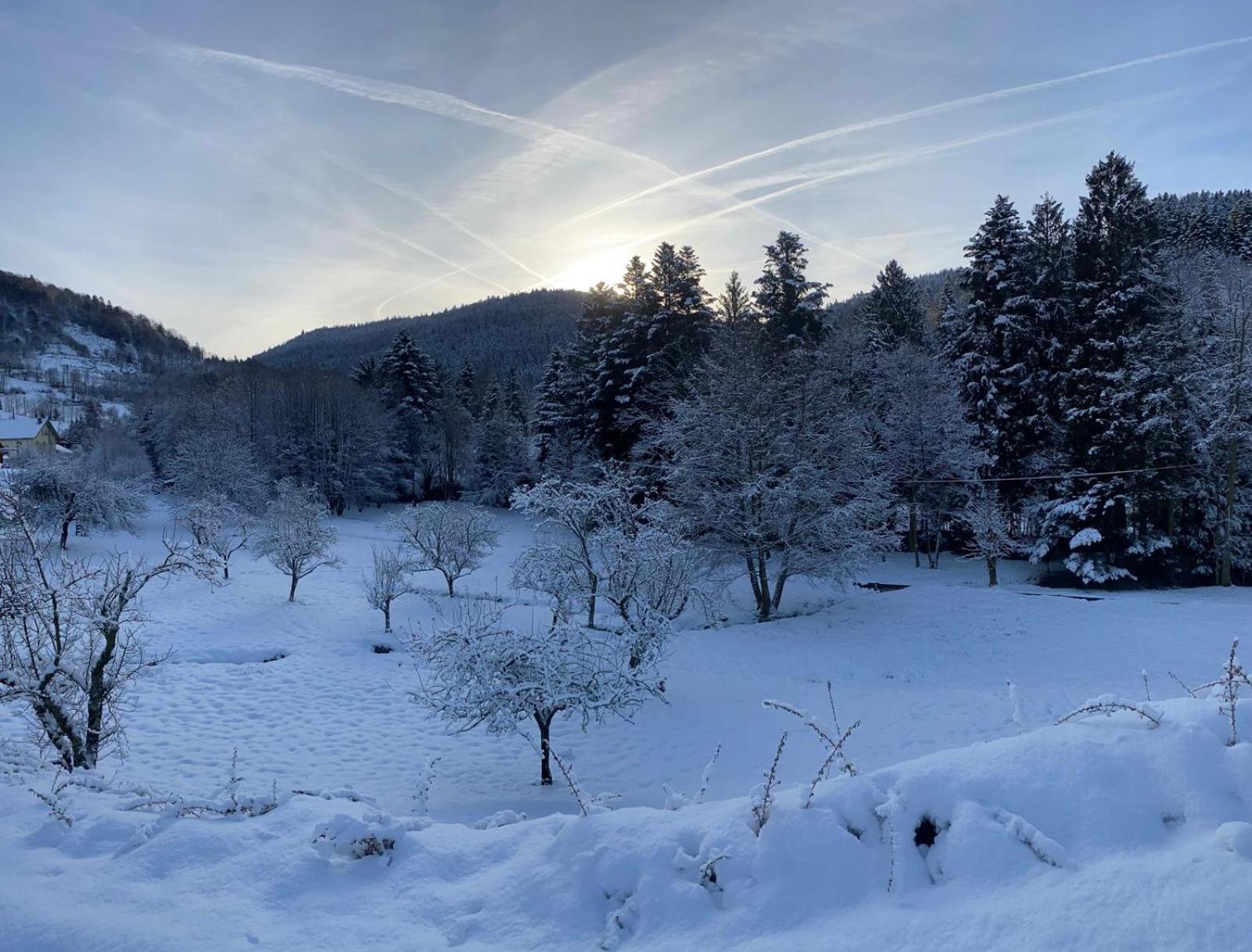 Chalet Notre Retraite Ventron Zewnętrze zdjęcie